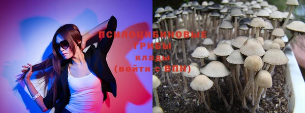 spice Алзамай