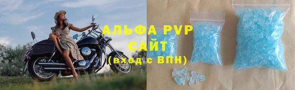spice Алзамай