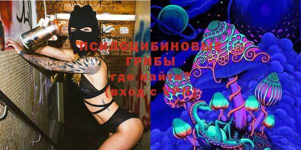 дживик Алексин