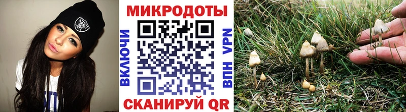 Псилоцибиновые грибы GOLDEN TEACHER Сольвычегодск