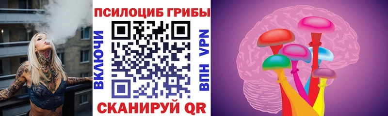 Галлюциногенные грибы Psilocybe  Купить закладки  Сольвычегодск 